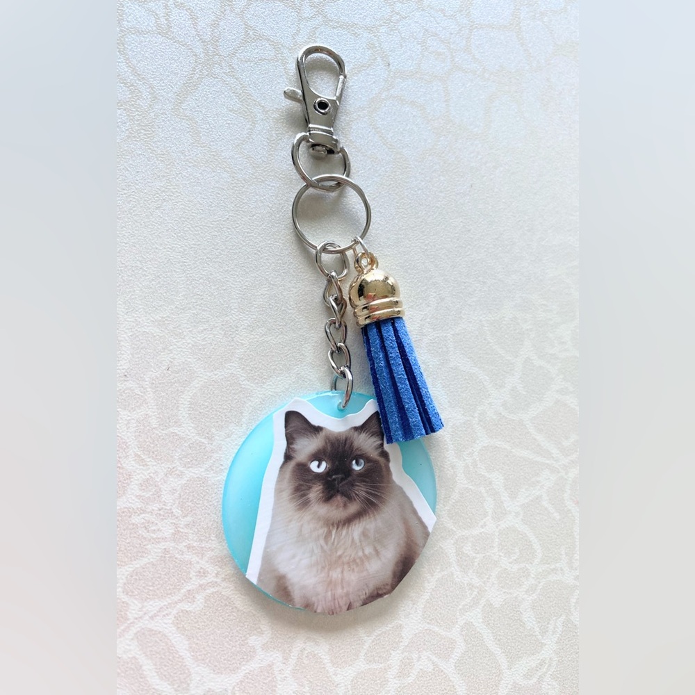 Cat Keychain or Purse Charm with Tassel